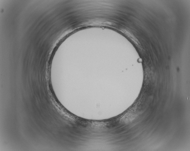 X0000067340848200604131724