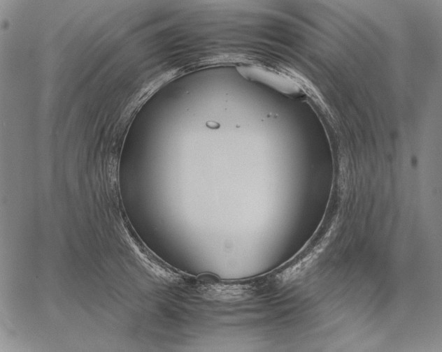 X0000067340849200604131724