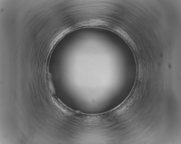 X0000067340850200604131724