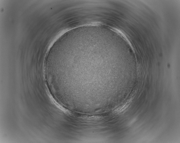 X0000067340851200604131724