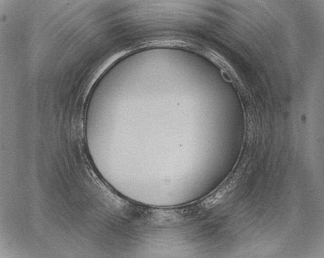 X0000067340852200604131724