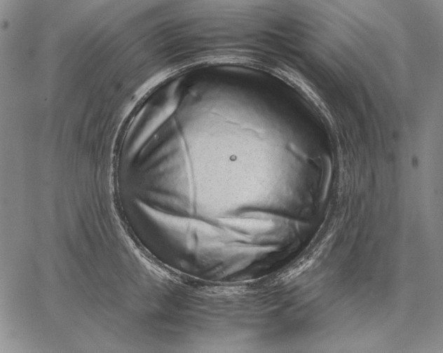 X0000067340853200604131724