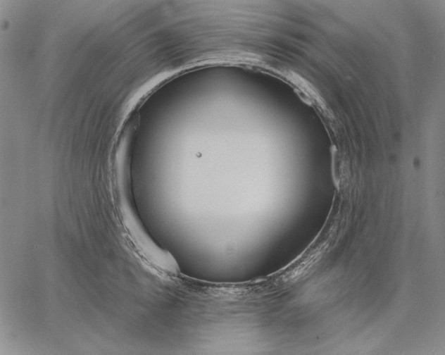 X0000067340854200604131724