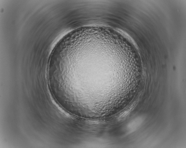 X0000067340855200604131724