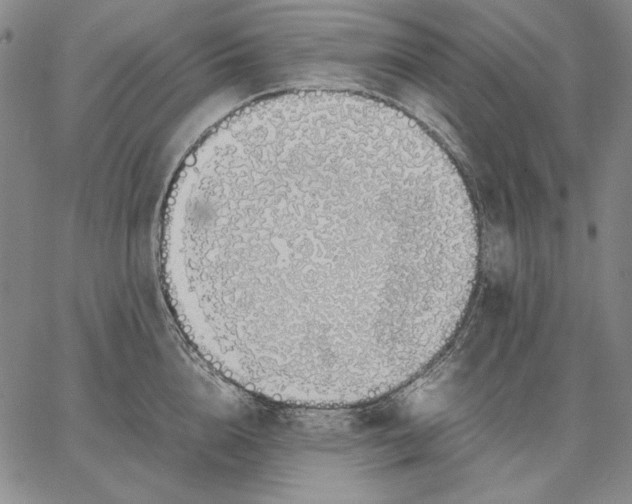 X0000067340856200604131724