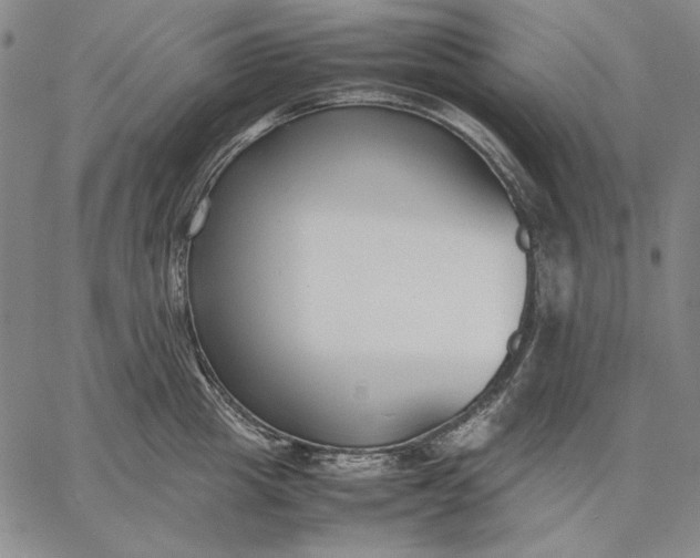 X0000067340857200604131724