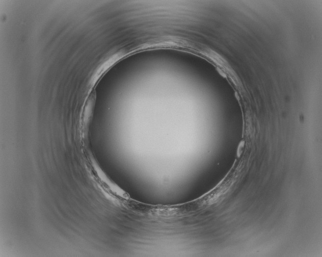 X0000067340858200604131724