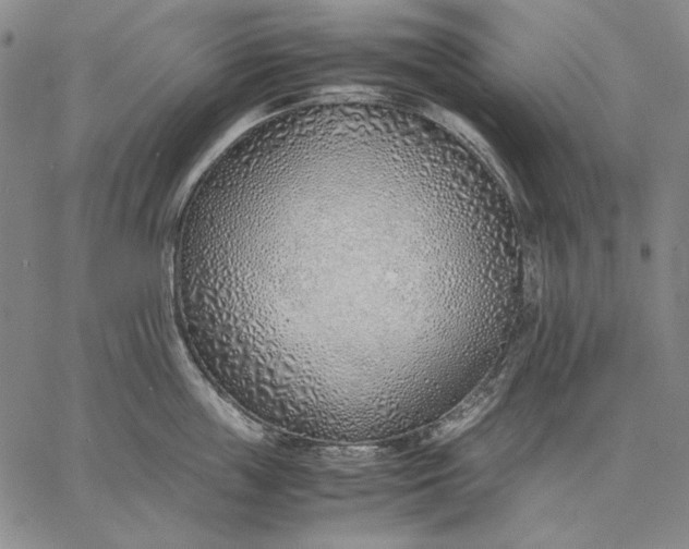 X0000067340859200604131724