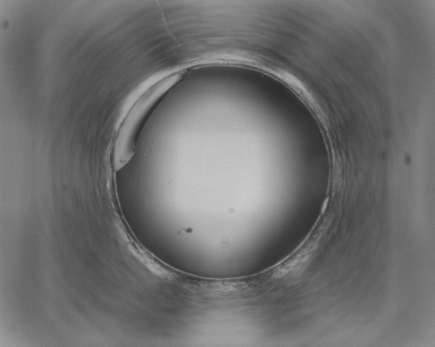 X0000067340862200604131724