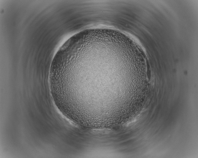 X0000067340863200604131724