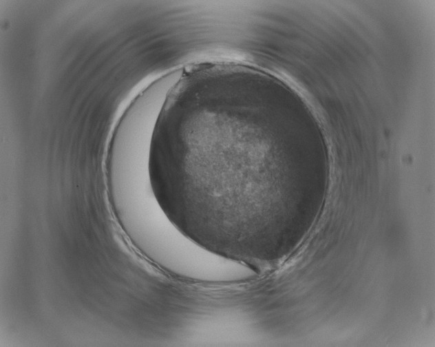 X0000067340864200604131724