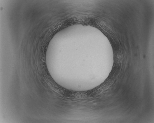 X0000067340865200604131723