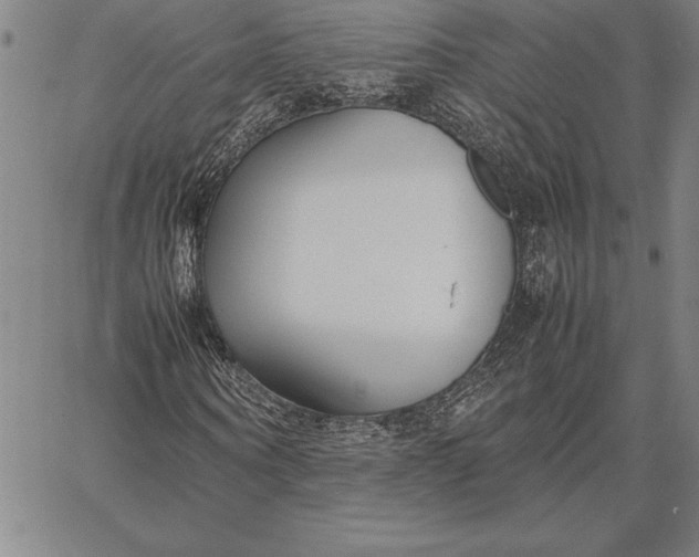 X0000067340866200604131723