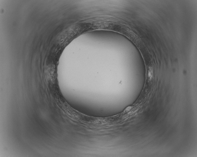 X0000067340867200604131723