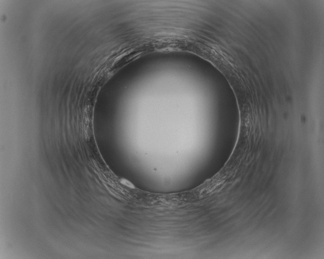 X0000067340868200604131723