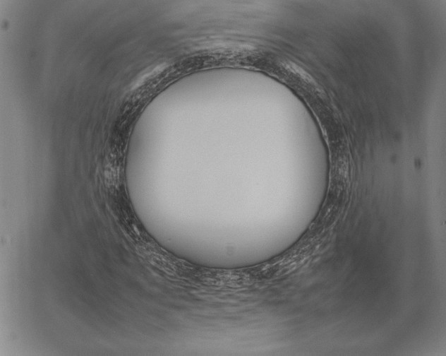 X0000067340869200604131723