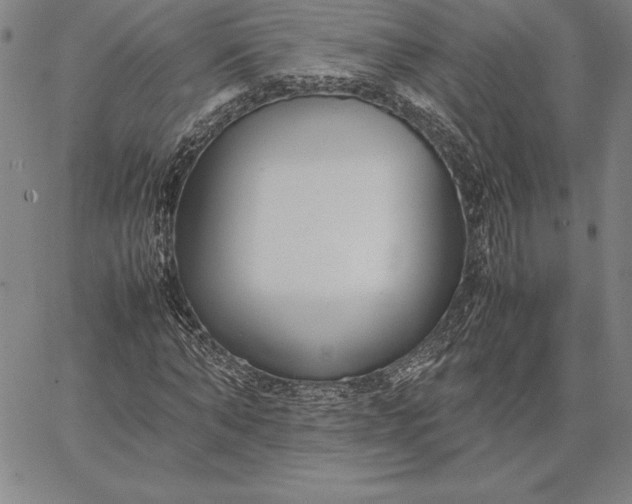 X0000067340870200604131723