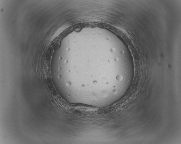 X0000067340871200604131723