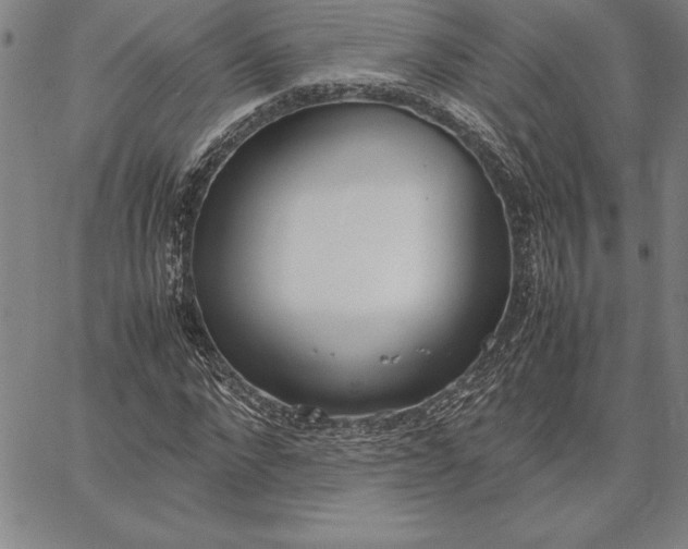 X0000067340872200604131723