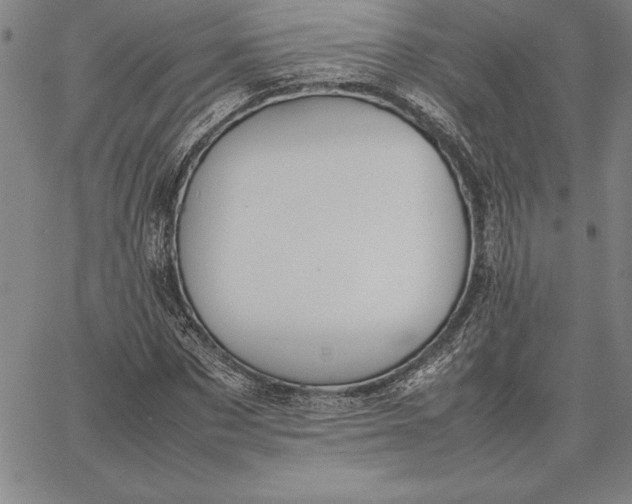 X0000067340873200604131723