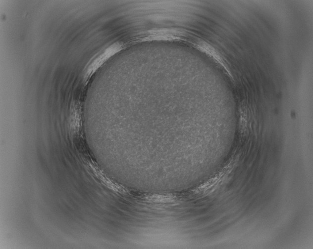 X0000067340874200604131723