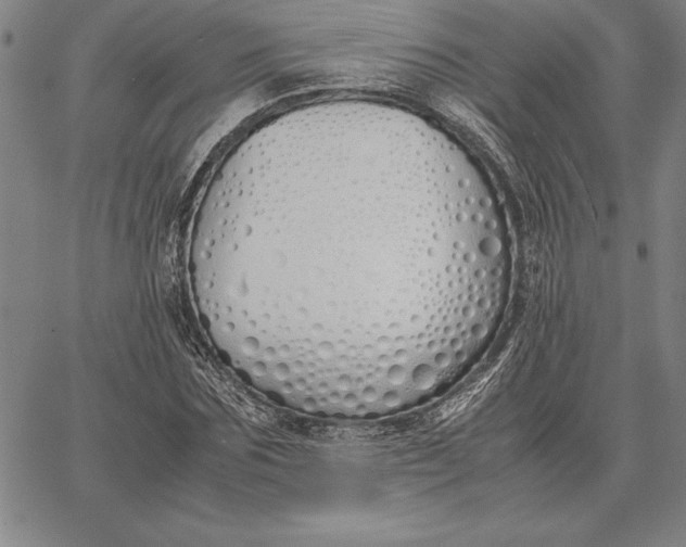 X0000067340875200604131723