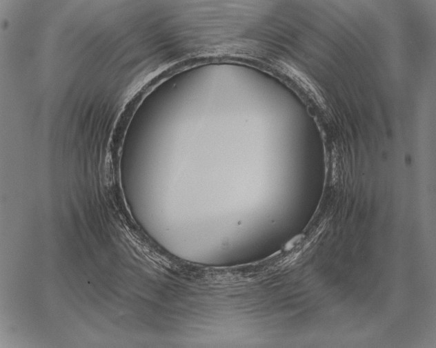 X0000067340876200604131723