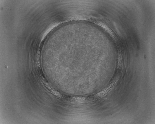 X0000067340878200604131723