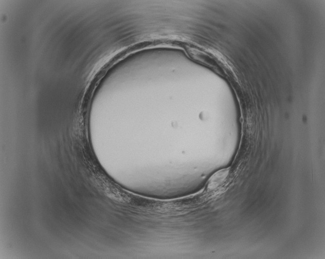 X0000067340879200604131723