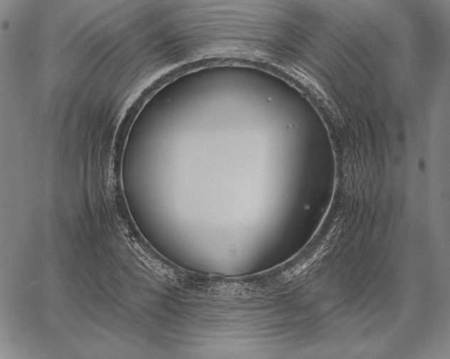 X0000067340880200604131723