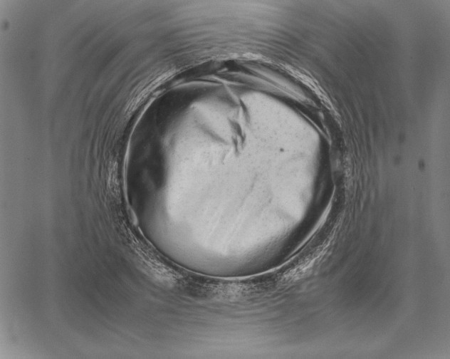 X0000067340881200604131723