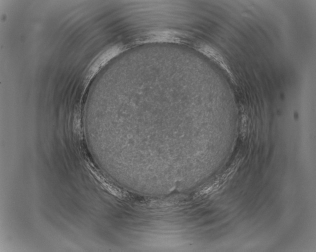 X0000067340882200604131723