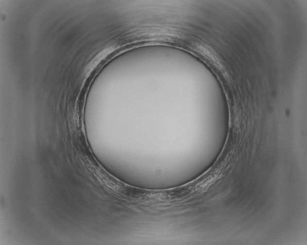 X0000067340883200604131723