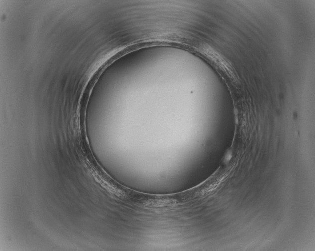 X0000067340884200604131723