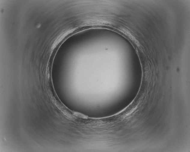 X0000067340885200604131723