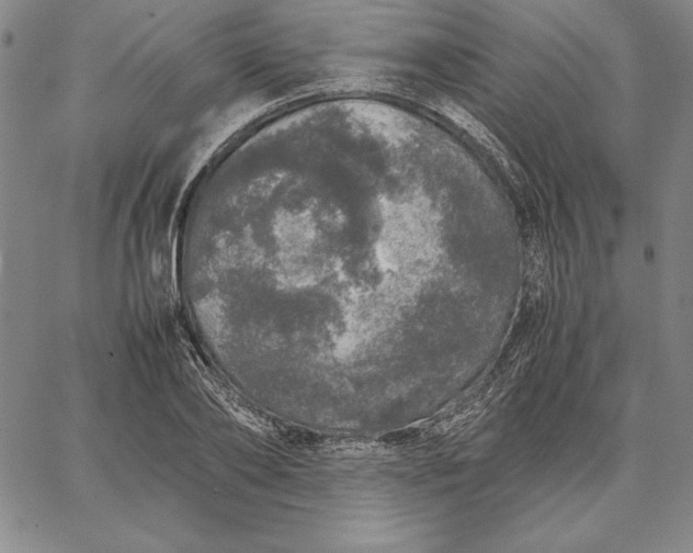 X0000067340886200604131723