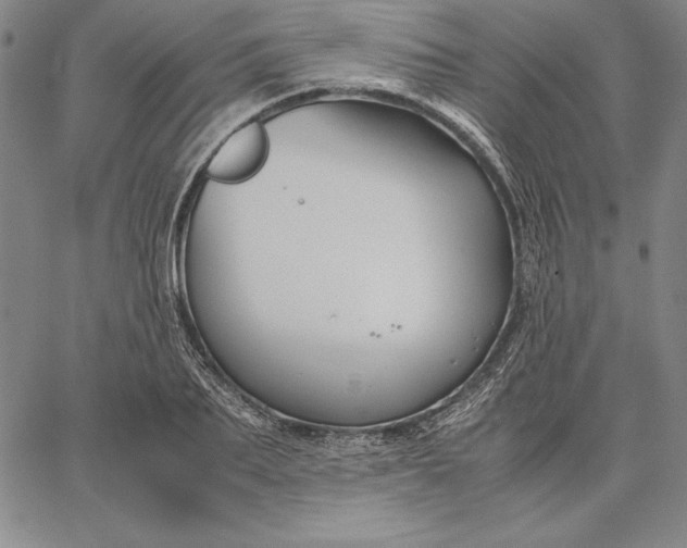 X0000067340887200604131723