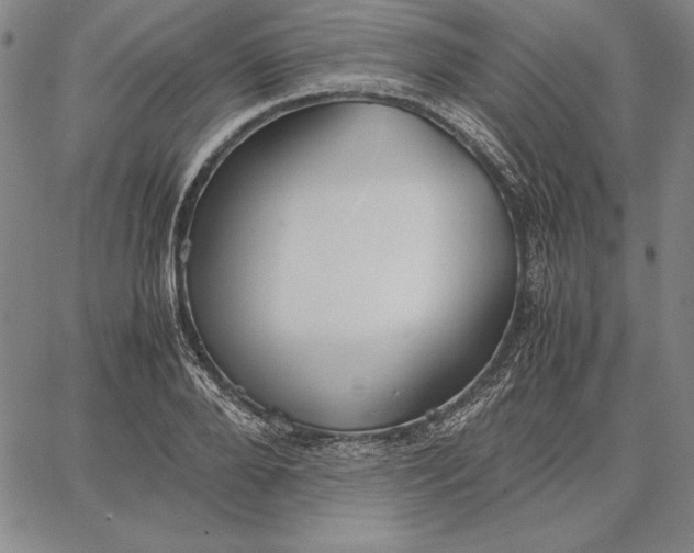 X0000067340888200604131723