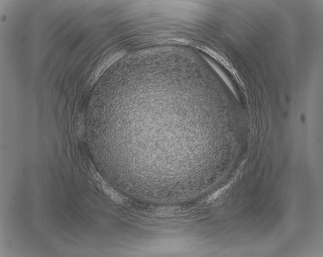 X0000067340889200604131723