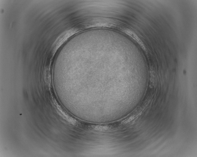 X0000067340890200604131723