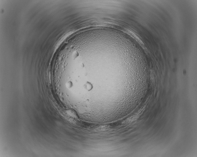 X0000067340891200604131723