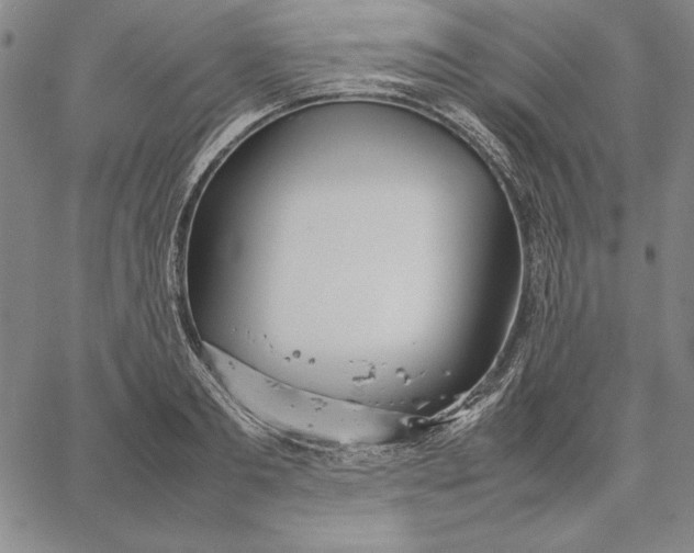 X0000067340893200604131723