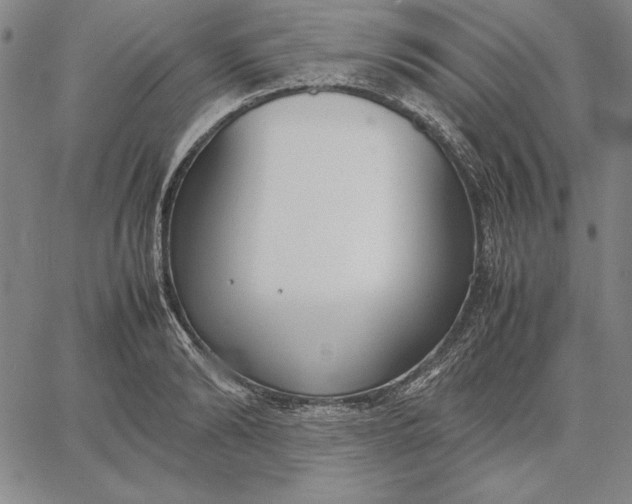 X0000067340894200604131723