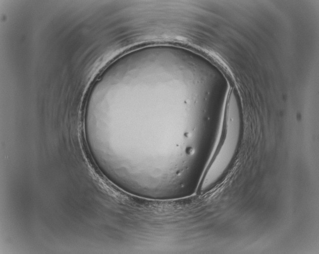 X0000067340895200604131723