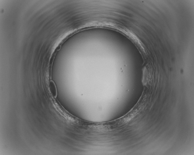 X0000067340896200604131723