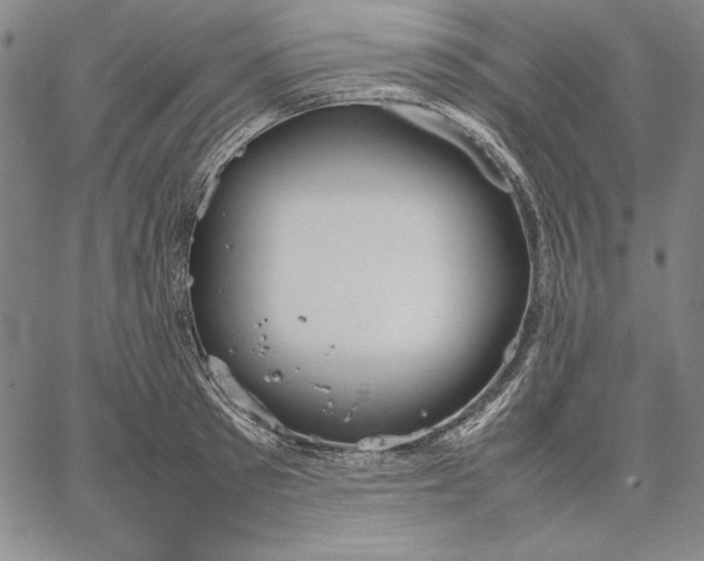 X0000067340897200604131723