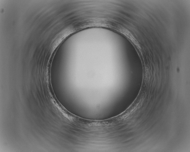 X0000067340898200604131723