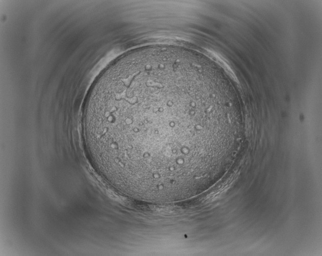 X0000067340899200604131723