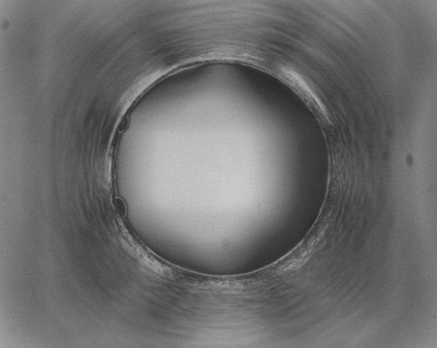 X0000067340900200604131723