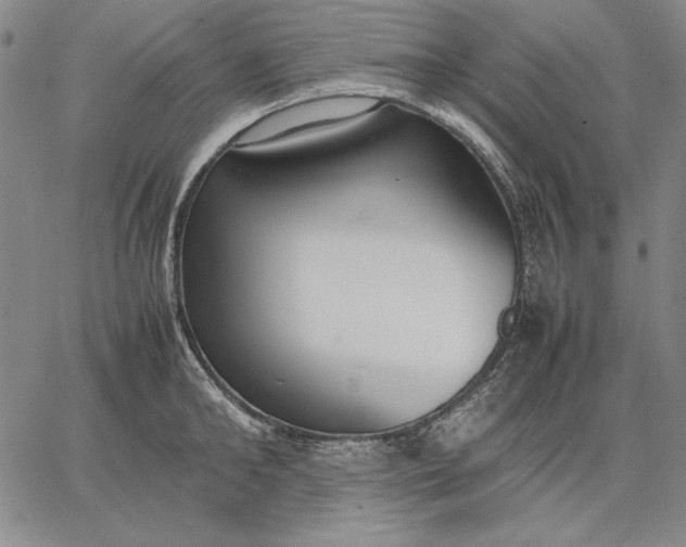 X0000067340902200604131723